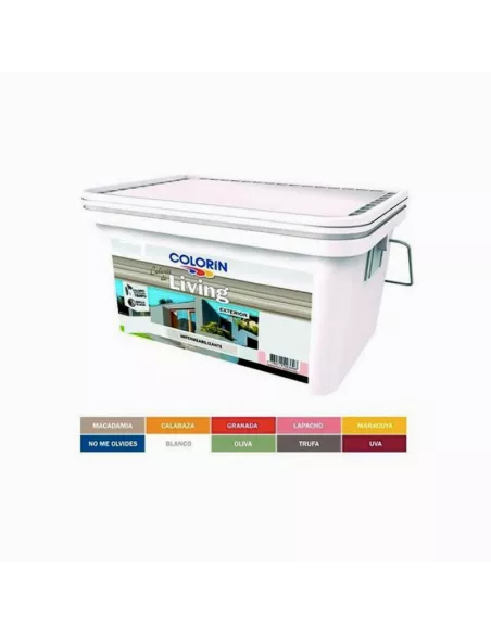 Living Exterior Colorin